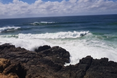 20180315_121541(0)