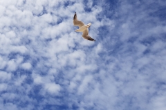 20180322_120641