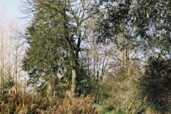011